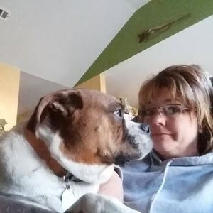 Meet your Posher, Robin